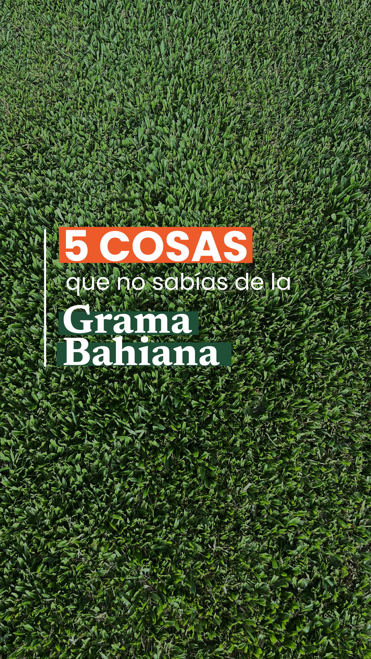 Bio Salta contenido
